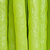 Próbnik obraz