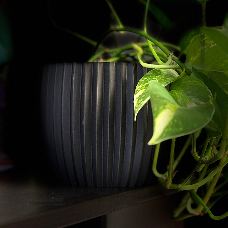 Velvet PLA filament 3D Printed Flower Pot